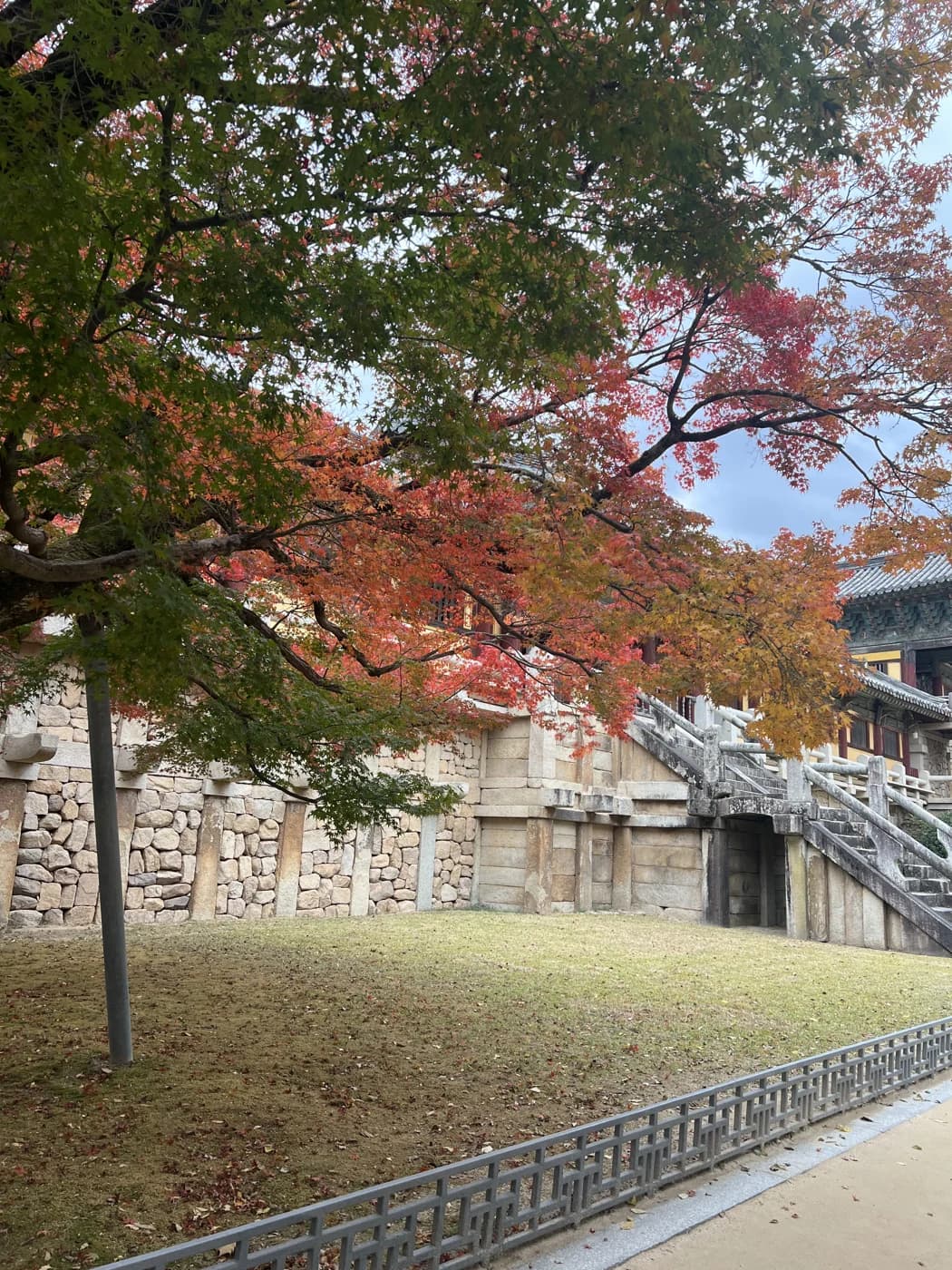 가을 단풍에 둘러싸인 불국사의 돌계단